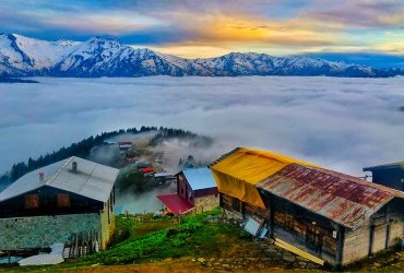 Pokut Yaylası Bilgi